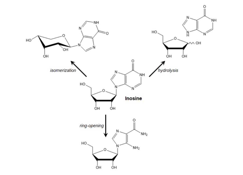 What Can Aristotle and Whitehead Tell a Chemist About Chemical Change? Ross L. Stein